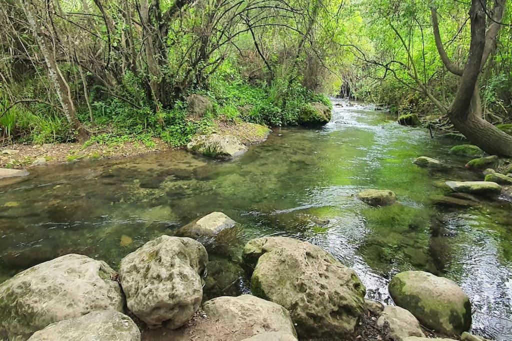La Terracita Del Bosque 아파트 외부 사진
